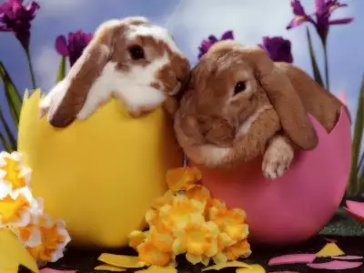 Two Easter Bunnies