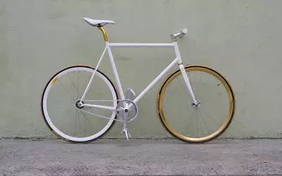 Beauty Bike