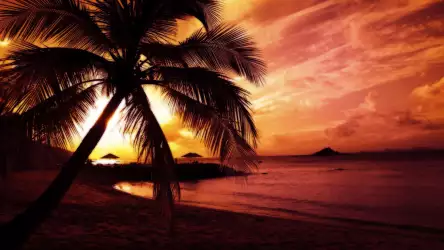 Beach Paradise at Hawaii
