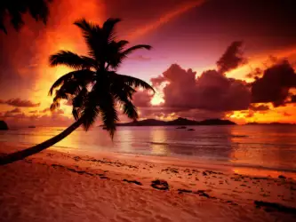 Twilight Paradise La Digue Seychelles