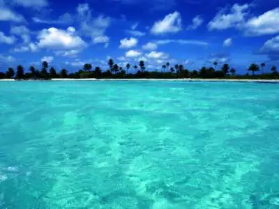 Palm Paradise Beach