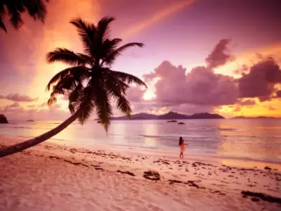 Twilight Paradise on Seychelles