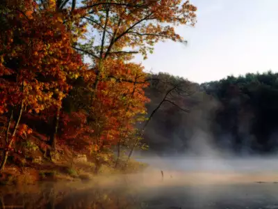 Mist And Autumn Indiana