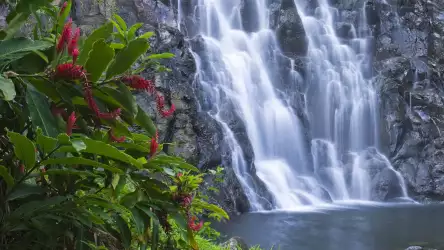Waterfall - Experience the Majesty of Nature's Cascade