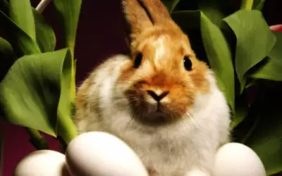 A Rabbit In A Basket Of Flowers And Eggs