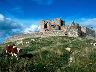 Cashel Castle Ireland and One Cow