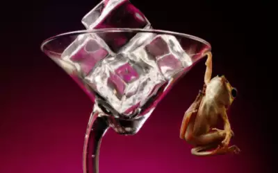 A Frog Holding On To A Glass Of Ice Cubes