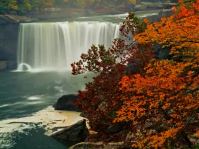Autumn and Waterfall