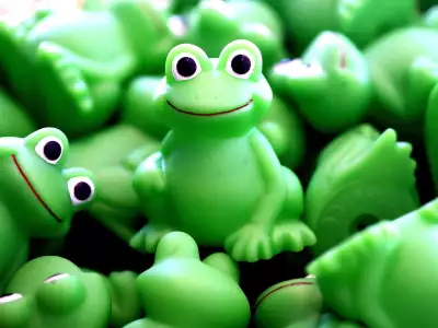 Green Frogs
