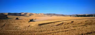  Field Harvesting