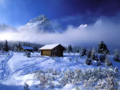 Cottage in the Snowy Meadow