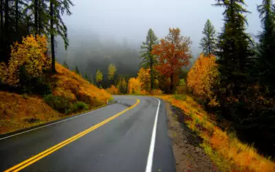 Road and Fog