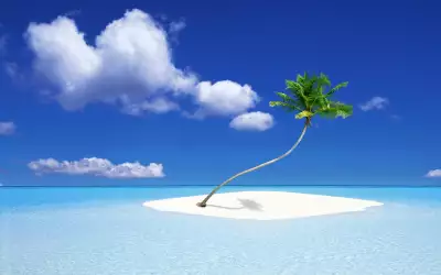 Island with Palm