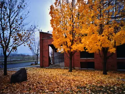 Autumn013