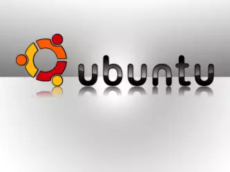 2 New Kernel Vulnerabilities Affect Ubuntu 6 06 8 04 8 10 And 9 04 OSes 2