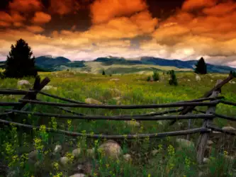 Fence on Meadow
