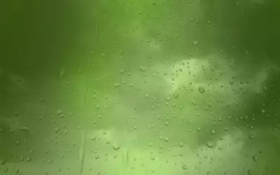 Green Wall With Rain
