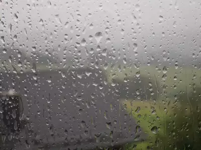 Rain On Window