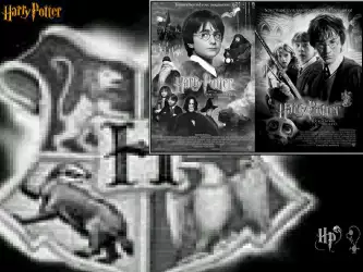 Harry Potter 015
