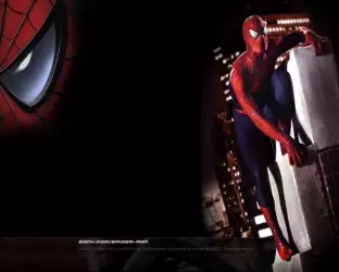 Spiderman 016