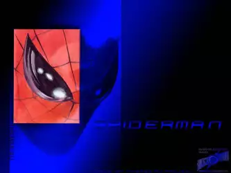 Spiderman 025