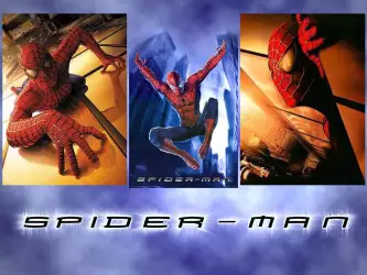 Spiderman 036
