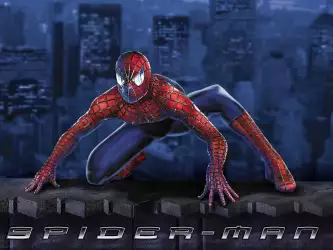 Spiderman 041