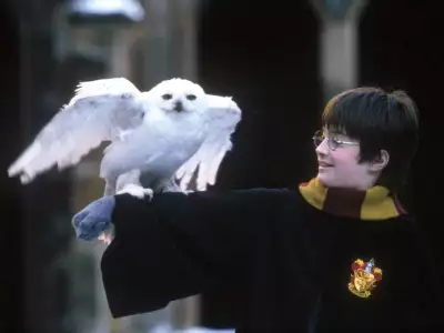 Harry Potter 006