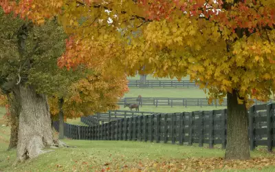 Autumn Time In Nature