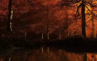 Autumn Time In Nature
