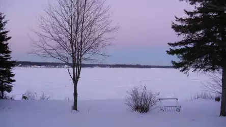 Winter Nature