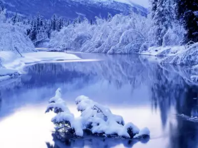 Winter Nature