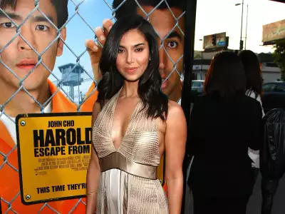 Roselyn Sanchez at Premiere of Kumar and Harold Escape from Guantanamo Wallpaper
