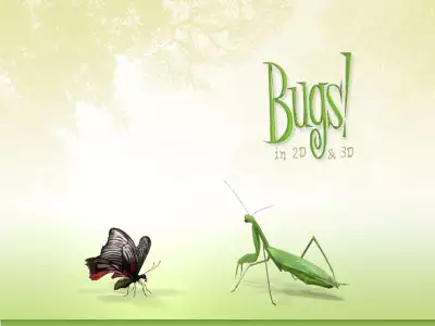 Bugs 002