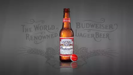 Budweiser Lager Beer The World 1920x1080 414 Hd