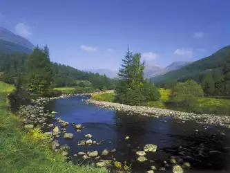 Beautiful Nature River