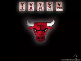 Chicago Bulls Retired Numbers: Widescreen Wallpaper