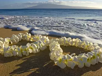 Maui Island Hawaii