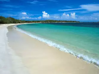 Amazing Beautiful Sandy Beach: Crystal Sea Paradise