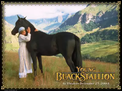 The Young Black Stallion 003