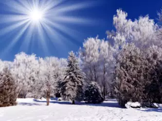 Winter Nature Snow Scene Wallpaper - Embracing the Tranquility of Sunflare