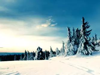 Winter Nature Snow Scene