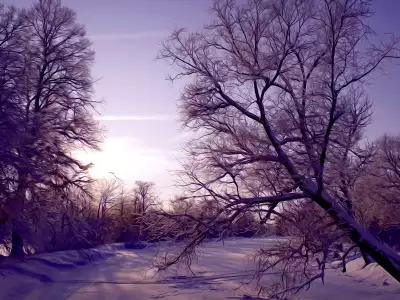 Winter Nature Snow Scene
