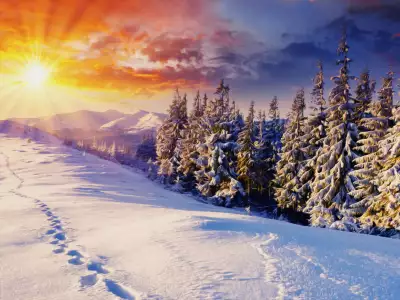 Winter Nature Sunset