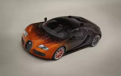 Bugatti Veyron Grand Sport Bernar Venet2