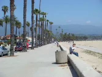 Santa Barbara Promenade on the Beach and Palms Wallpaper