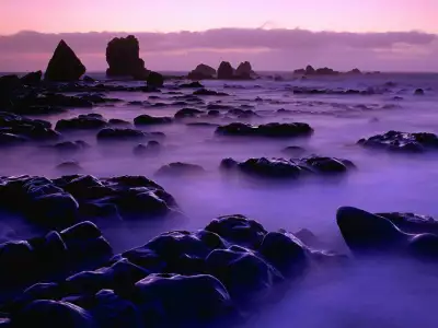 Rising Tide At Sunset New Zealand
