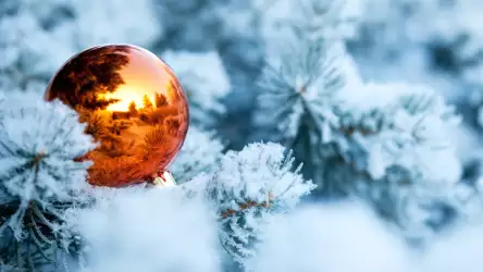Winter Magic: Snow-Covered Spruce Trees, Christmas Decorations, and Reflective Serenity