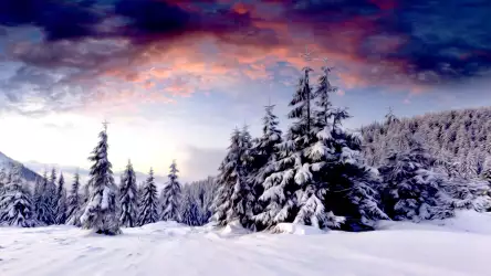 2 Winter Scenery