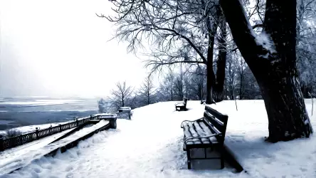 Winter Scenery Wallpaper